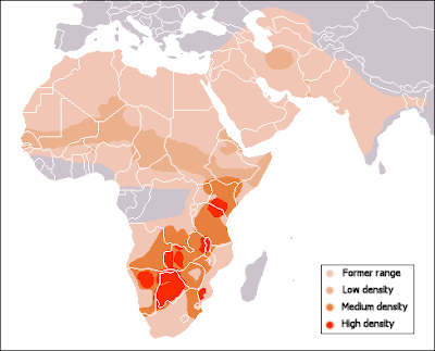 Cheetah habitat marked on a map
