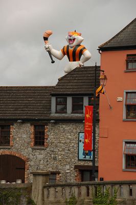 Kilkenny cats - cat on roof