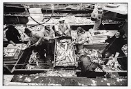 HD57 Elvira. Een rondviskotter