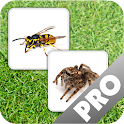 Insect Memory Game PRO logo