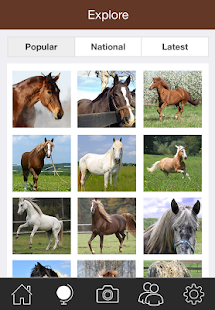 Free Download Horse Snap APK for PC