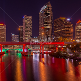 Tampa Reflections by Lynn Wiezycki - City,  Street & Park Skylines