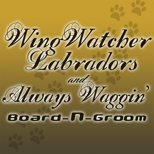 Wing Watchers 商業 App LOGO-APP開箱王