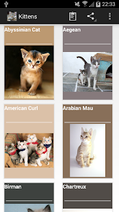 Lastest Kittens APK