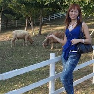 綠光森林富野綿羊牧場