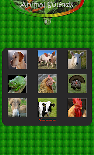 Free Animal real Sounds APK for Android