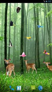 How to get Rain Forest Live Wallpaper lastet apk for bluestacks