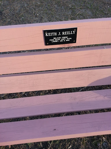 Reilly Memorial Bench