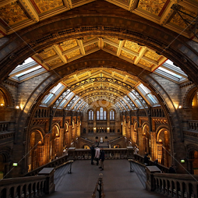 long view at NHM by Almas Bavcic - Buildings & Architecture Public & Historical