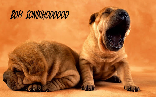 dog-1.jpg