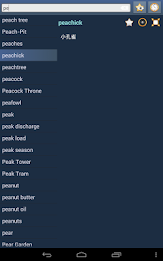 English Mandarin Dictionary poster 8