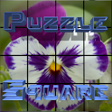 Puzzle Square – Winter pack logo