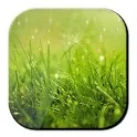 Xperia Rain Drops Wallpaper icon