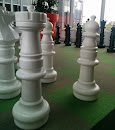 Skybridge Chessboard