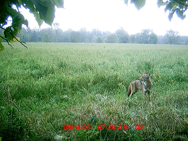 [MDGC0005[3].jpg]