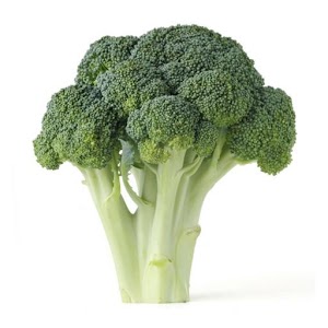 Produce Buddy.apk 1.0