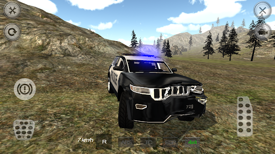 Mountain SUV Police Car