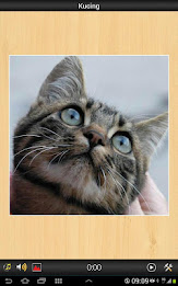 Best Cats game poster 5