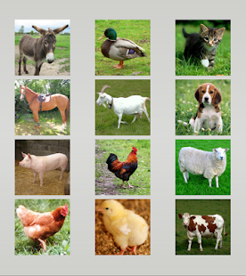 Animal sounds Screenshots 15