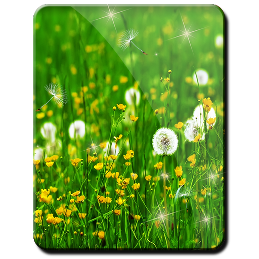 Dandelion Little Flowers HD 個人化 App LOGO-APP開箱王