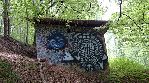 Grafitti Im Wald