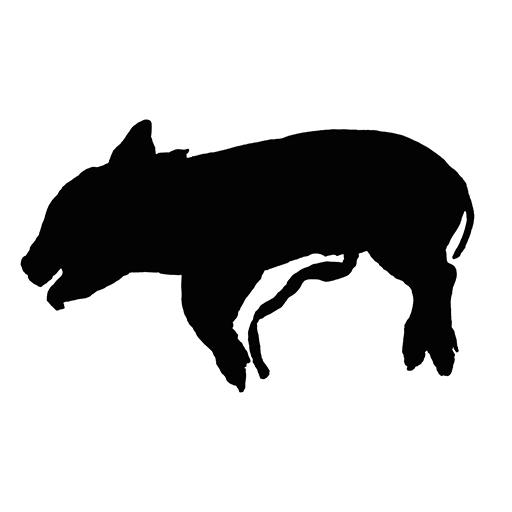 Dig a Pig LOGO-APP點子