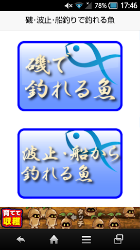 磯・波止・船釣りで釣れる魚