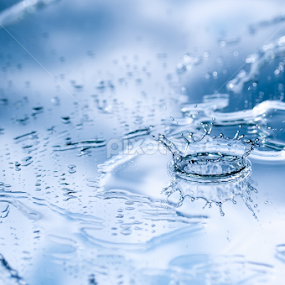 crown by Ivan Mankevich - Nature Up Close Water