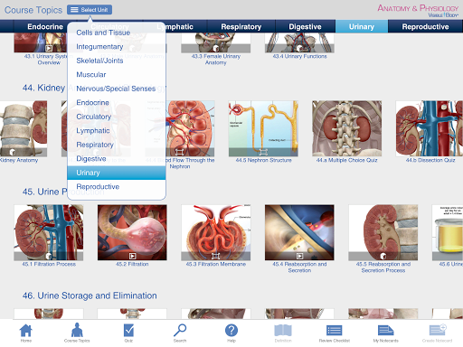 Anatomy 3D: Organs – Windows Apps on Microsoft Store