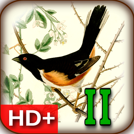 Audubon's Birds of America V02 攝影 App LOGO-APP開箱王