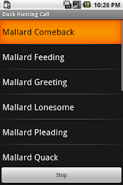 Duck Hunting Call poster 1