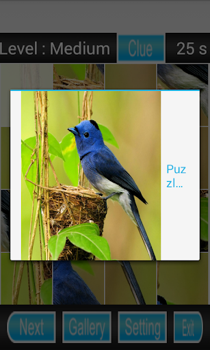 bird games puzzle