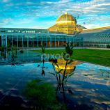 Reflections Of Gold by Tina Hailey -  