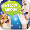 Cat Language Translator by Dexati