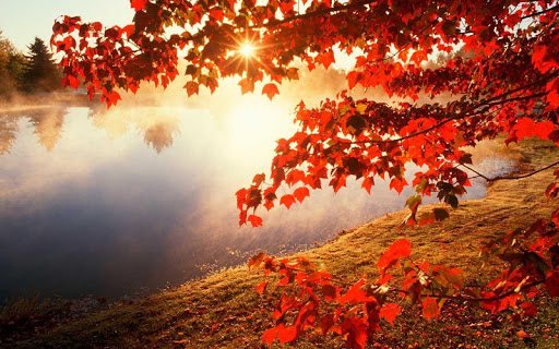 Autumn Wallpaper HD