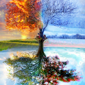Four Seasons icon