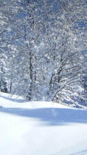 Wintery Day HD Live Wallpaper Screenshots 2