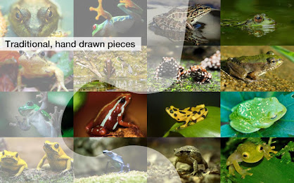Frog Jigsaw Puzzles Demo poster 7