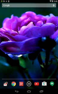 How to get Violet Rose Live Wallpaper patch 1.1.1 apk for android