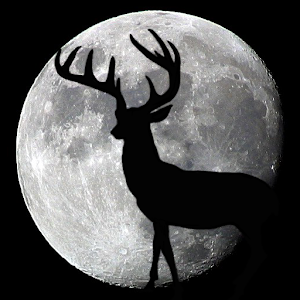 Night Hunter logo