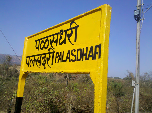 Palasdhari Railway Station