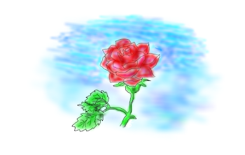 HEART OF LOVE