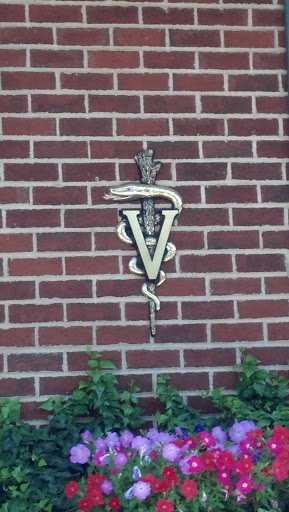 Falls Village Vet Symbol