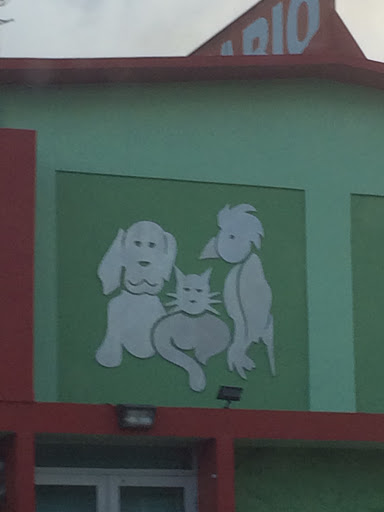 Dog, Cat and Bird