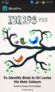 Download IBirds Pro APK