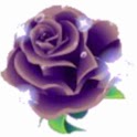花的海洋 logo