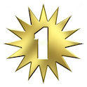 #1 Fan -San Antonio Spurs LITE logo