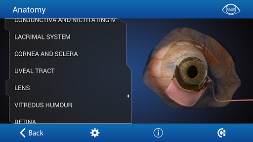 Ophthalmology in Dogs Free