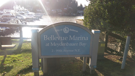 Bellevue marina 