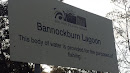 Bannockburn Lagoon